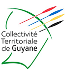 Département plaque immatriculation Guyane